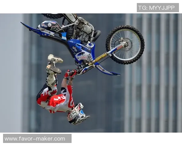 数据分析：杭州极限运动队的实力表现