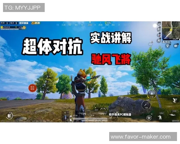 最新和平精英灵活性TOP10：V5领跑